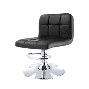 Salon Chair